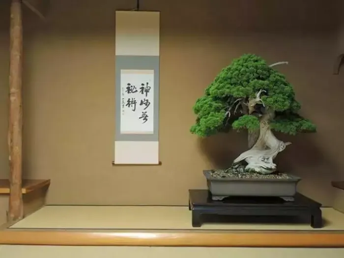 O bonsai de Shunka-en